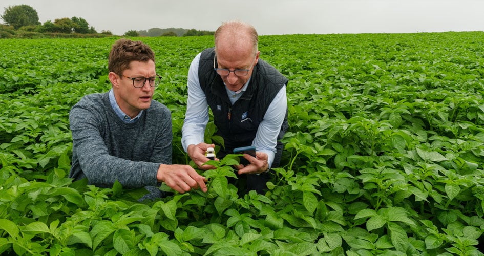 Yara agronomist showing how digital farming tools work in a field to a farmer