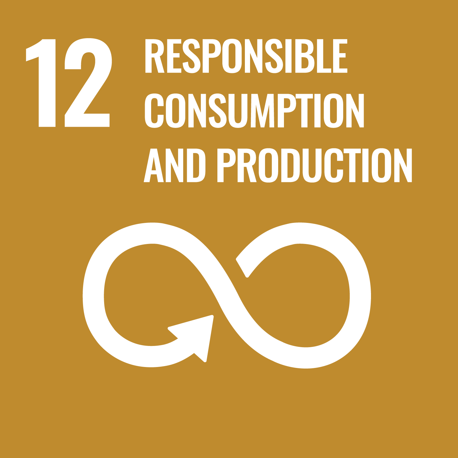 SDG 12 Icon